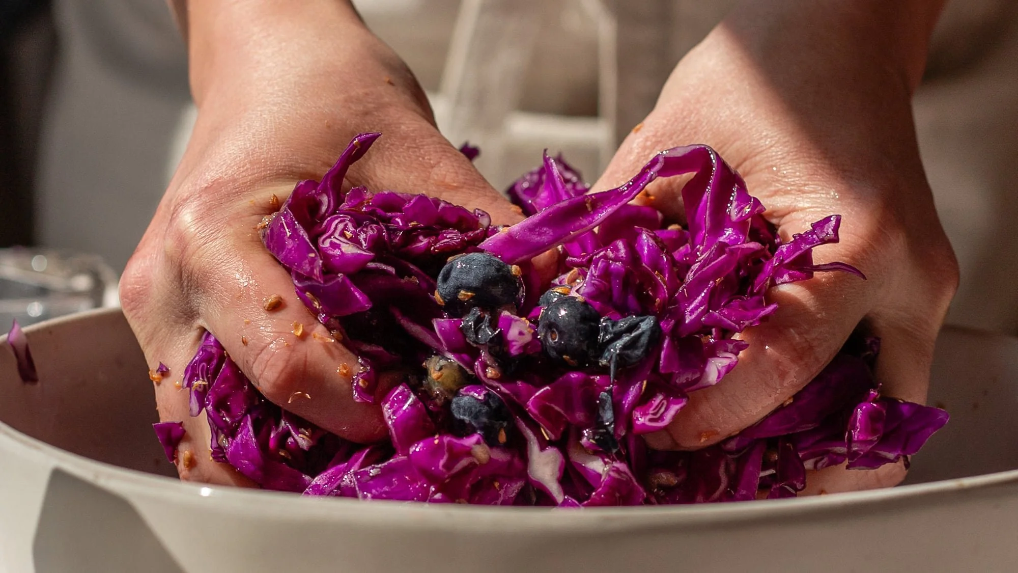 Fermented Blueberry Sauerkraut with Red Cabbage & Coriander