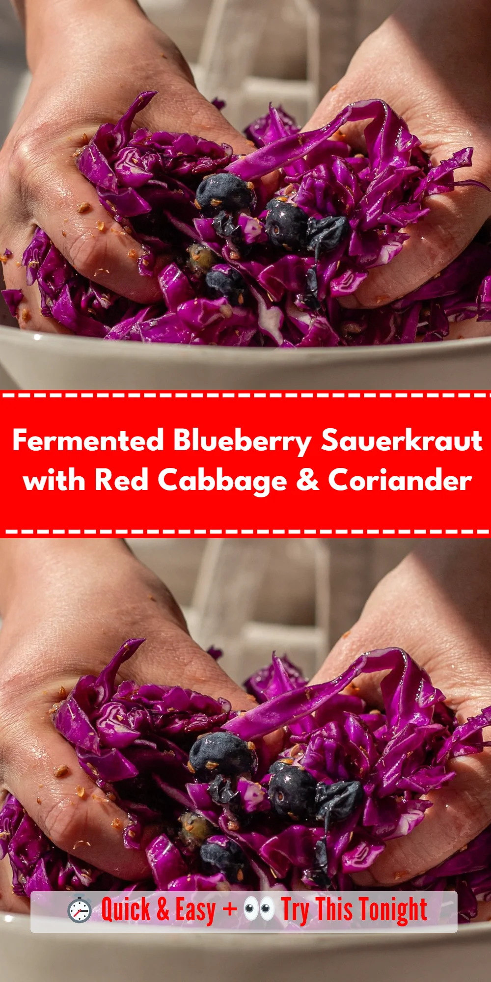 Fermented Blueberry Sauerkraut with Red Cabbage & Coriander
