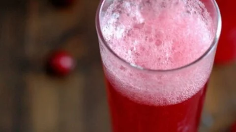 Fermented Cranberry Soda