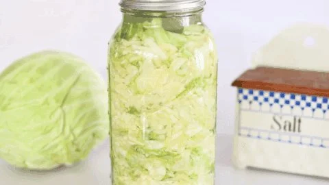 Fermented Sauerkraut