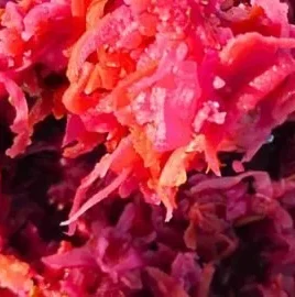 Homemade fermented coleslaw with root vegetables in a jar