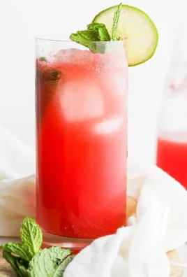 Refreshing Watermelon Spritzer made with only 5 ingredients